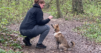 ema pet sitter à CHAMBOURCY 78240_0