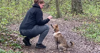 ema pet sitter à CHAMBOURCY 78240