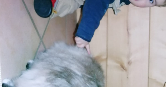 nathan pet sitter à LYON 06 69006_1