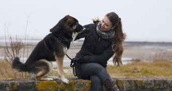 anna pet sitter à SURZUR 56450_2