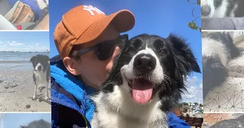 céline pet sitter à ST BERTHEVIN 53940