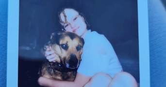 lisa pet sitter à TOULOUSE 31500_0