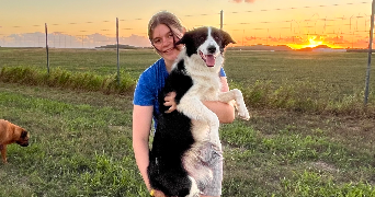 noa pet sitter à MAROMME 76150_6