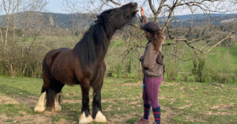 marion pet sitter à CHARMAUVILLERS 25470_2