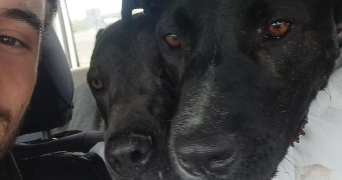 matheo pet sitter à Belley 01300_3