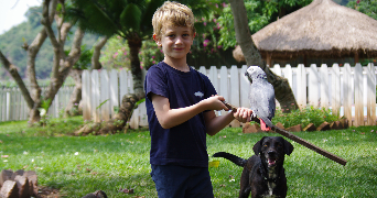 arno pet sitter à TOULOUSE 31400_2