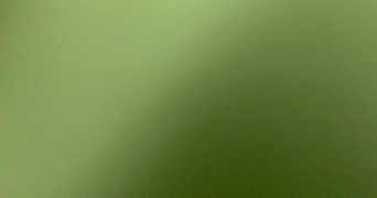 marie pet sitter à ST AUBIN DES BOIS 28300_0