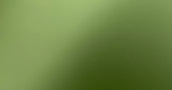 marie pet sitter à ST AUBIN DES BOIS 28300