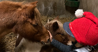 méïssane pet sitter à PESSAC 33600_4