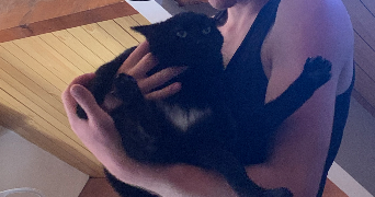 serena pet sitter à BOUTIGNY PROUAIS 28410_1