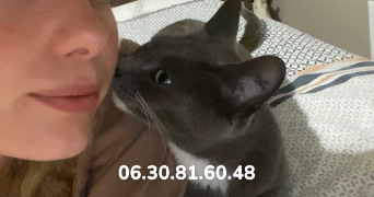 léa pet sitter à Allemans-du-Dropt 47800_10