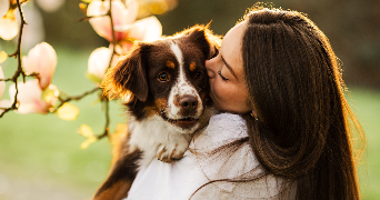 océane pet sitter à MILIZAC GUIPRONVEL 29290_0