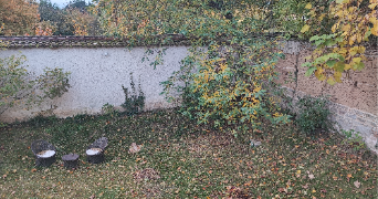 vivi pet sitter à ST GENIS LAVAL 69230_0