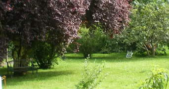 marion dog sitter à ARBUS 64230_1