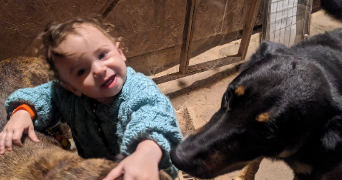 nolwenn pet sitter à FAUCH 81120_2