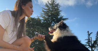 coline pet sitter à CARQUEFOU 44470_7