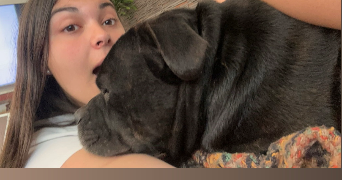 lucie pet sitter à MERIGNAC 33700_1