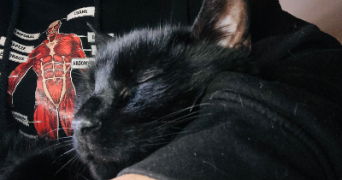 katia pet sitter à GIVORS 69700_4