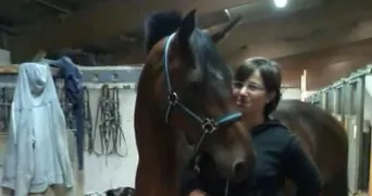 France pet sitter à LOGNES 77185