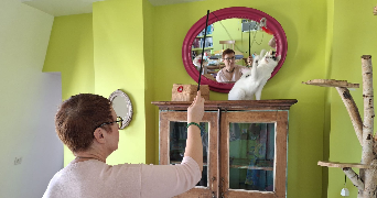 isabelle pet sitter à NANTERRE 92000_4