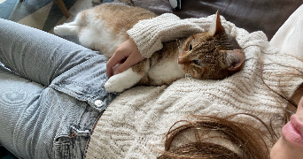 léna pet sitter à BORDEAUX 33200_1