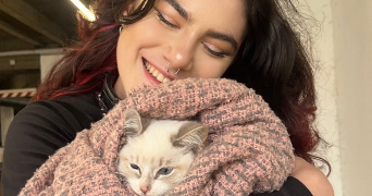 lou pet sitter à VILLEJUIF 94800_3