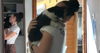 roza pet sitter à IVRY LA BATAILLE 27540_10