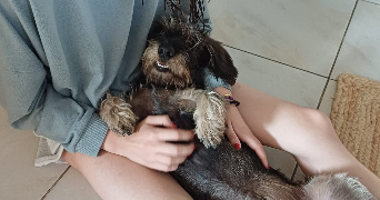 perrine pet sitter à BALAZE 35500_6