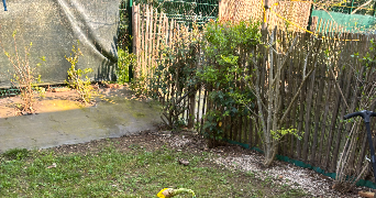 laura pet sitter à LE MANS 72000_1