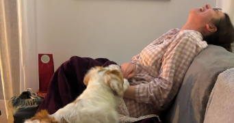 tessa pet sitter à MONTIGNY LE BRETONNEUX 78180_2