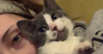 lucie pet sitter à MONS EN BAROEUL 59370_1