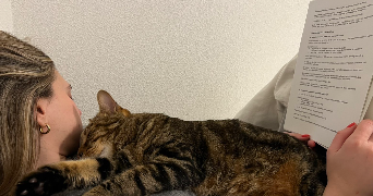 camille pet sitter à LA GARDE 83130_1