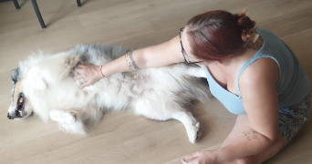 mary pet sitter à LA VALETTE DU VAR 83160_3