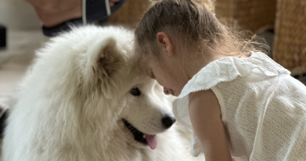 adeline dog sitter à PONTOISE 95300_3