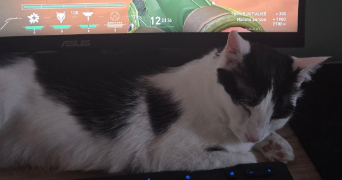 mylene pet sitter à VERNAISON 69390_4