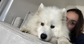 luna pet sitter à AUSSEVIELLE 64230_1