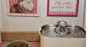 gwennaelle cat sitter à LILLE 59000_8