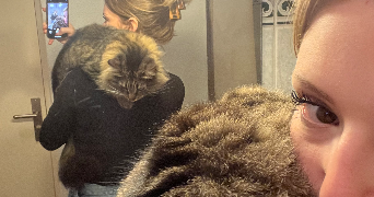 ophelia pet sitter à MONTPELLIER 34000_6