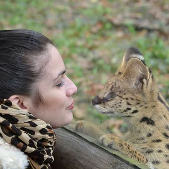 Nadege pet sitter à Pont-Sainte-Maxence 60700