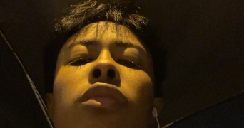 lee pet sitter à MULHOUSE 68100_0