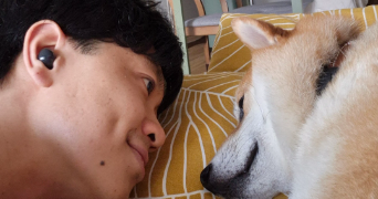 di-ming pet sitter à ALFORTVILLE 94140_0