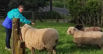 marine pet sitter à PARIS 13 75013_2