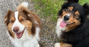 elisa pet sitter à MARSEILLE 04 13004_2