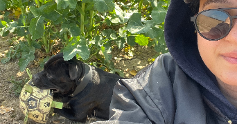 martin pet sitter à ALFORTVILLE 94140_6