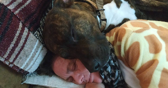 amandine pet sitter à La Chapelle-sur-Erdre 44240_2