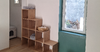 amandine pet sitter à MONTELIMAR 26200_2