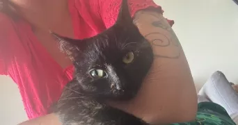 lolita pet sitter à DOMERAT 03410