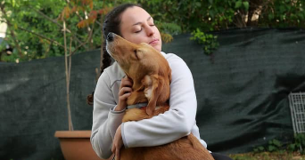 Chloé pet sitter à Montrabé 31850_1