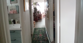 caroline cat sitter à MUZILLAC 56190_5