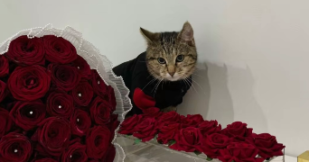 yasmine pet sitter à BAGNOLET 93170_1